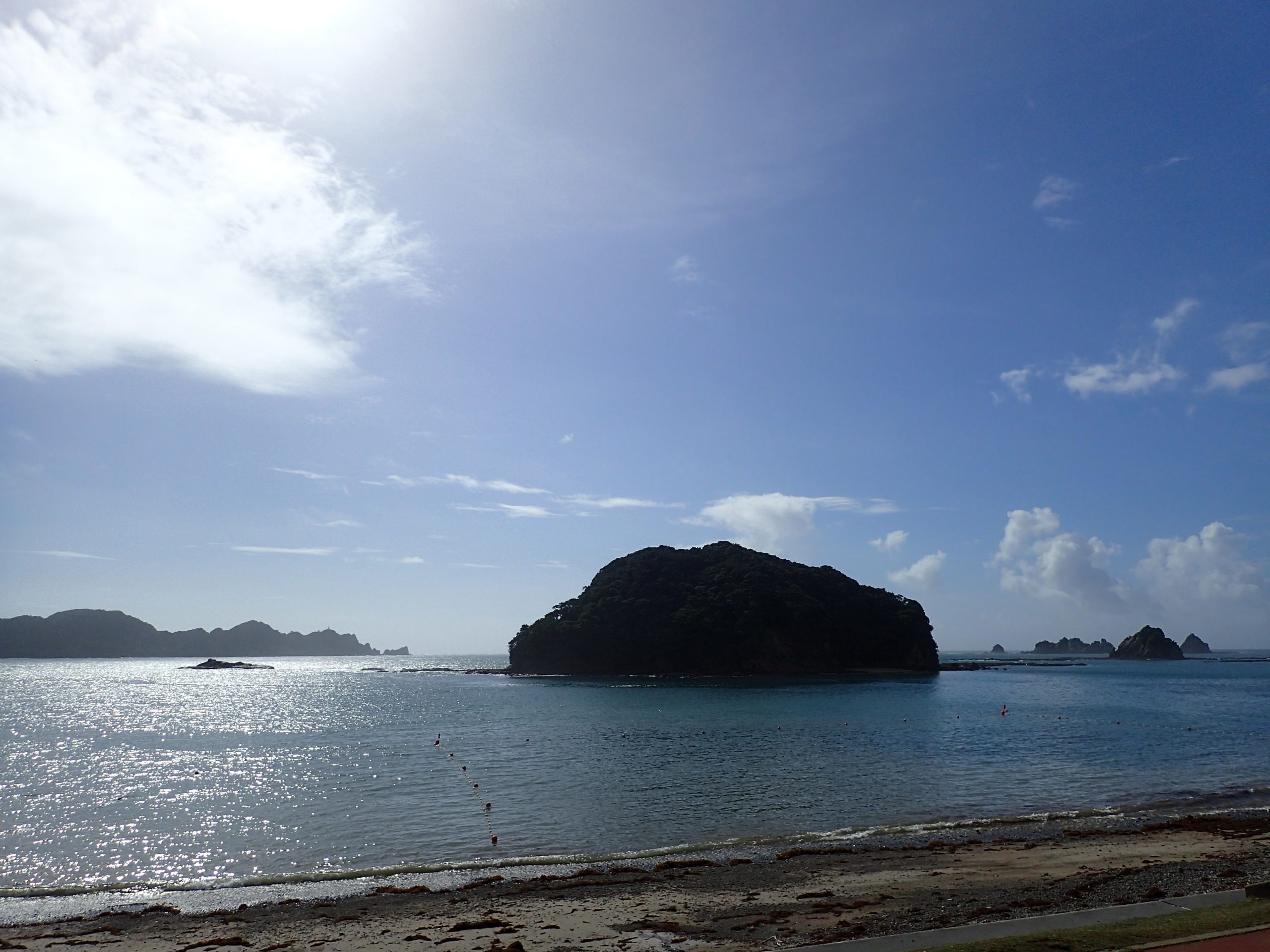 海松　深海松 Buy the Panda The Shrizz 5ft 10in Surfboard Online Now | Boardcave USA